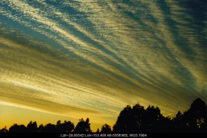 20000530mb01_undulatus_mcleans_ridges_nsw