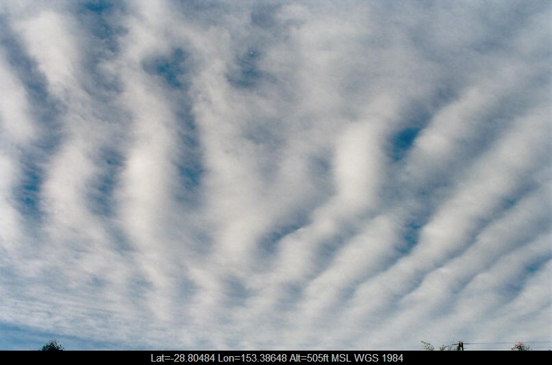 20020614mb01_undulatus_mcleans_ridges_nsw