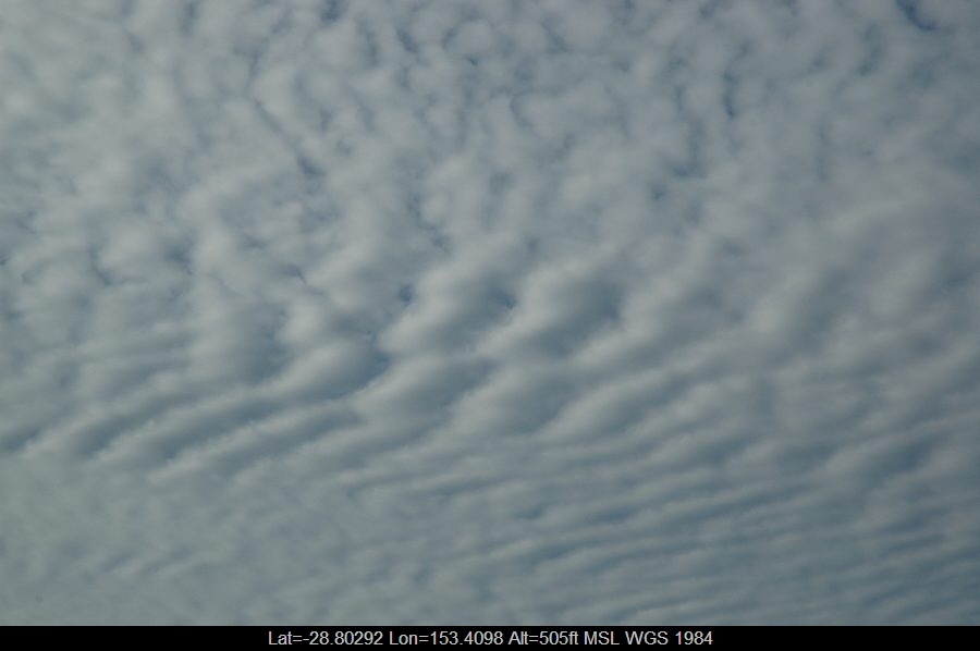 20061201mb02_undulatus_mcleans_ridges_nsw