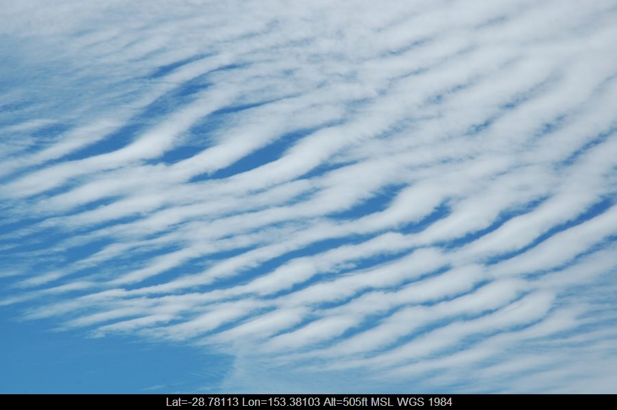 20070502mb04_undulatus_mcleans_ridges_nsw
