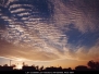 Altocumulus Undulatus