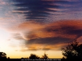 19950711mb01_undulatus_oakhurst_nsw