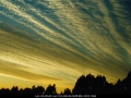 20000530mb01_undulatus_mcleans_ridges_nsw