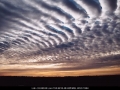20010816jd01_undulatus_schofields_nsw