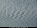 20061201mb02_undulatus_mcleans_ridges_nsw