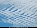 20070502mb04_undulatus_mcleans_ridges_nsw
