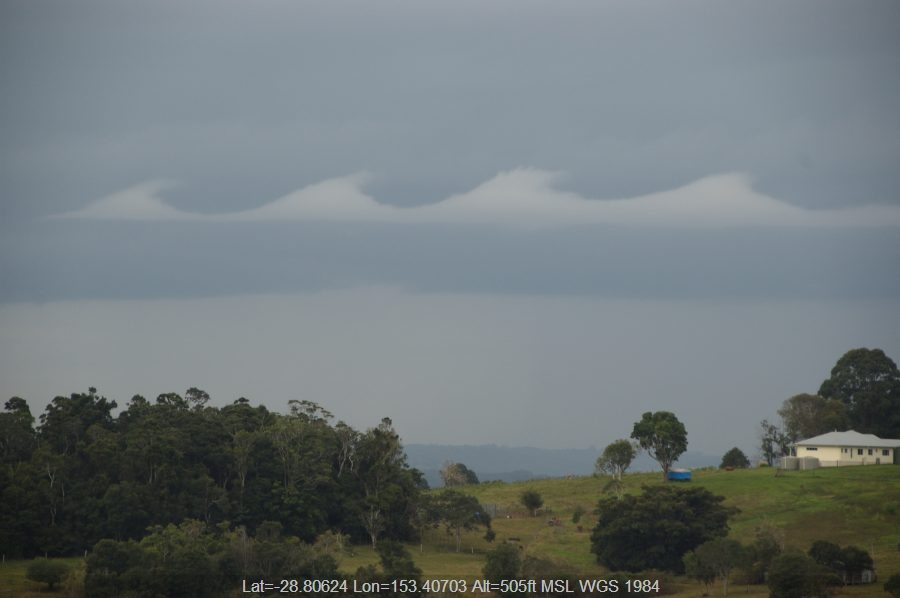 20080715mb01_nimbostratus_cloud_mcleans_ridges_nsw