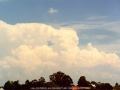 19980201mb03_cumulonimbus_calvus_rooty_hill_nsw