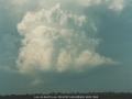 19990129jd10_cumulonimbus_calvus_schofields_nsw
