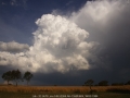 20060220jd03_cumulonimbus_calvus_gulgong_nsw