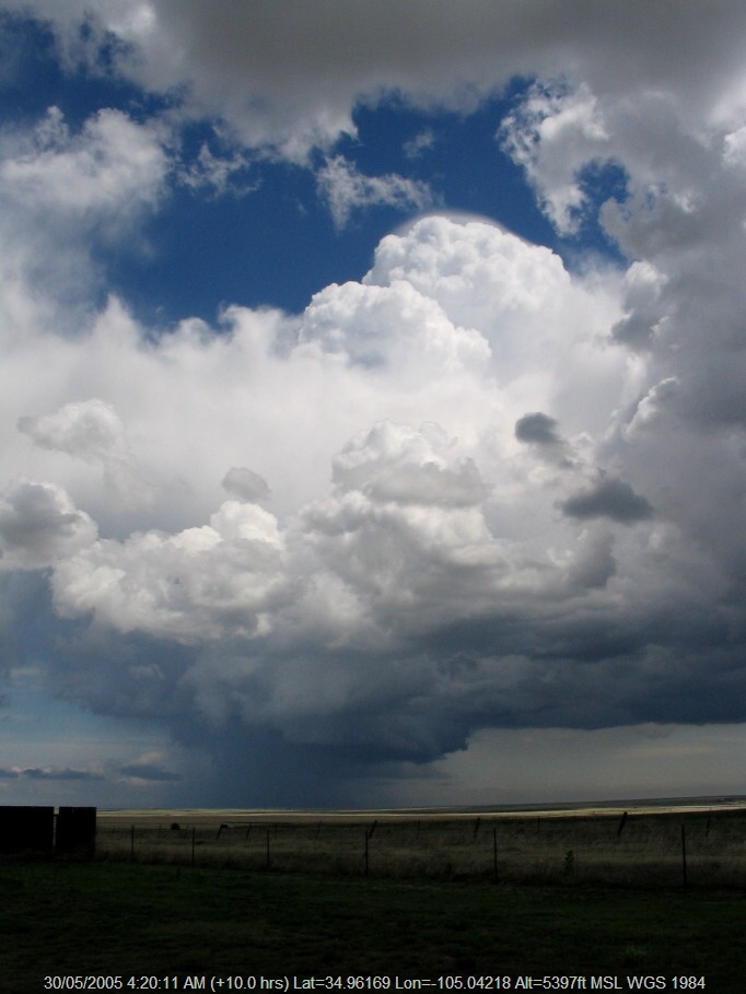 20050529jd01_cumulonimbus_incus_near_mount_dore_new_mexico_usa