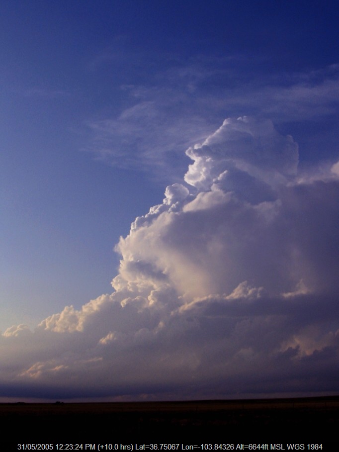 20050530jd17_cumulonimbus_incus_se_of_des_moines_new_mexico_usa