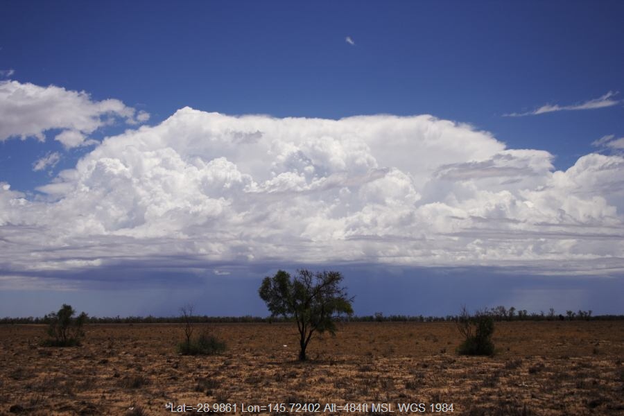 20070102jd24_cumulonimbus_incus_20km_n_of_barringun_nsw