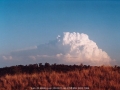 20010901jd08_cumulonimbus_incus_jerrys_plains_nsw