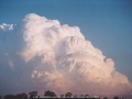 20010901jd16_cumulonimbus_incus_jerrys_plains_nsw