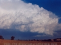 20050122jd04_cumulonimbus_incus_crookwell_nsw