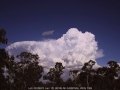 20051120jd06_cumulonimbus_incus_walcha_nsw