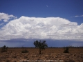 20070102jd24_cumulonimbus_incus_20km_n_of_barringun_nsw