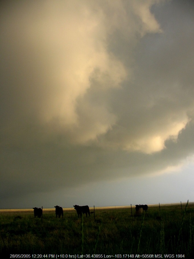 20050527jd23_thunderstorm_base_near_clayton_new_mexico_usa