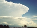 19980201mb17_thunderstorm_anvils_camden_nsw