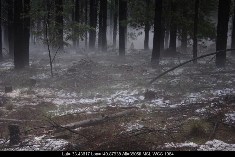 20070203jd25_hail_stones_sunny_corner_nsw