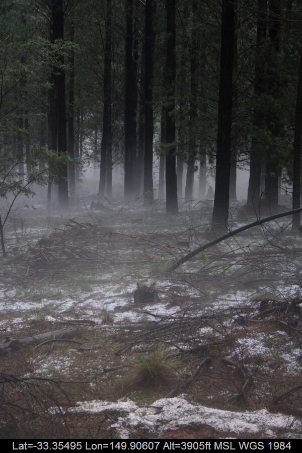 20070203jd26_hail_stones_sunny_corner_nsw