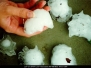 Hailstones