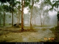 19931025jd07_hail_stones_wyee_nsw