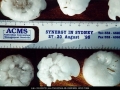 19960205mb11_hail_stones_horsley_park_nsw