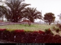 19970920jd12_hail_stones_schofields_nsw