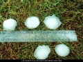 20010117mb22_hail_stones_casino_nsw