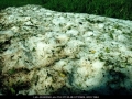 20010507mb04_hail_stones_wollongbar_nsw