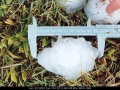 20031026jd04_hail_stones_tyndale_nsw