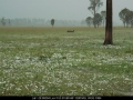 20041109mb52_hail_stones_leeville_nsw