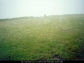 20041213mb54_hail_stones_mcleans_ridges_nsw