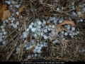 20050326mb14_hail_stones_broadwater_nsw