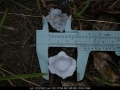 20051217jd26_hail_stones_near_nabiac_nsw