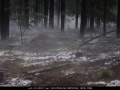20070203jd25_hail_stones_sunny_corner_nsw