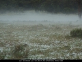 20070210mb35_hail_stones_s_of_tenterfield_nsw
