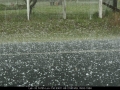 20071026mb066_hail_stones_tatham_nsw
