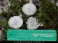 20080920mb087_hail_stones_geneva_nsw