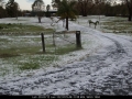 20080920mb096_hail_stones_geneva_nsw