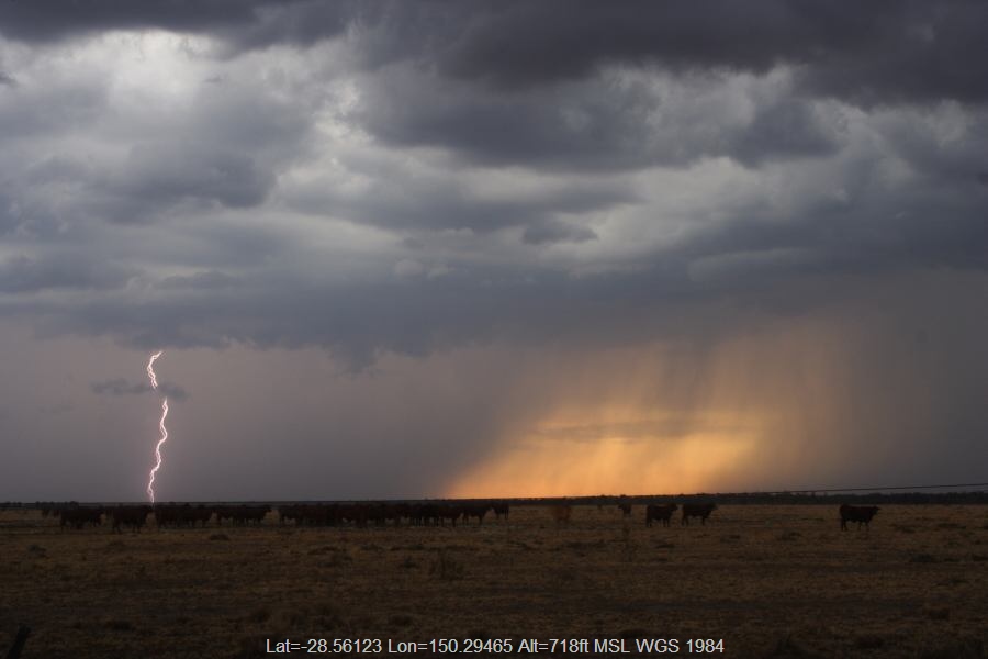 20070114jd24_precipitation_cascade_40km_n_of_goondiwindi_nsw