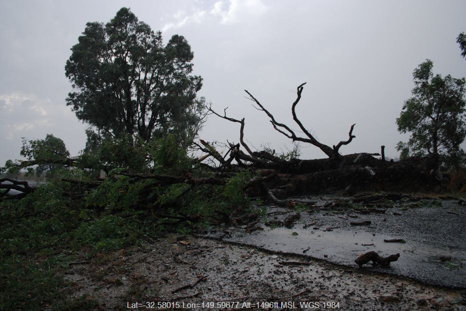 20060124jd12_storm_damage_near_mudgee_nsw