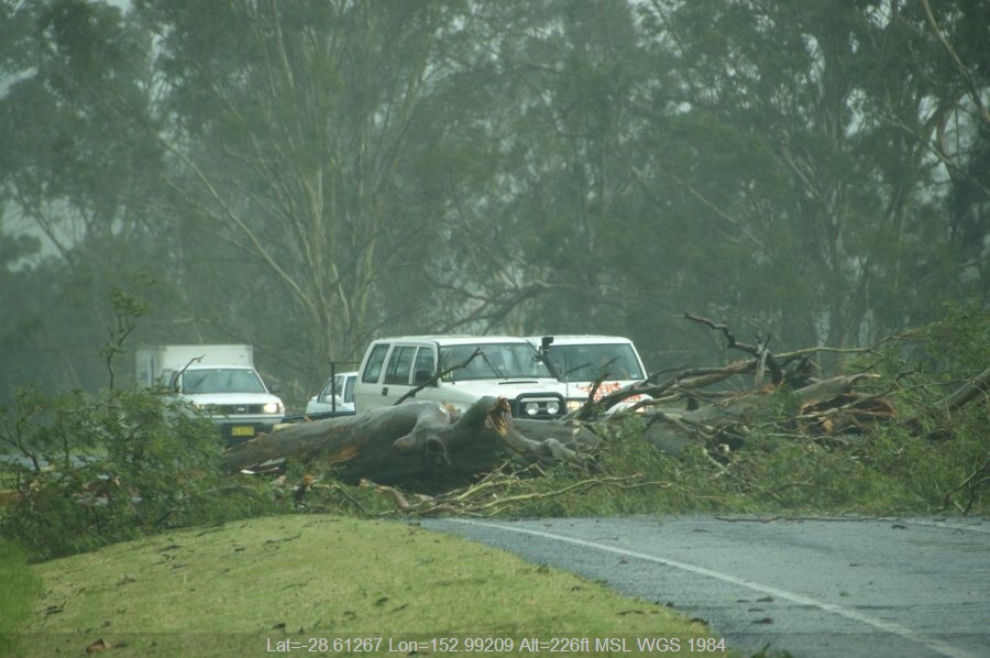 20081224mb35_storm_damage_n_of_kyogle_nsw