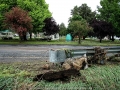 20051108jd31_storm_damage_molong_nsw