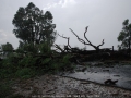 20060124jd12_storm_damage_near_mudgee_nsw