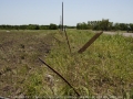 20060512jd22_storm_damage_westminster_texas_usa