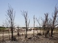 20060512jd26_storm_damage_westminster_texas_usa