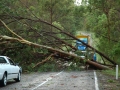 20070126mb54_storm_damage_jackadgery_nsw